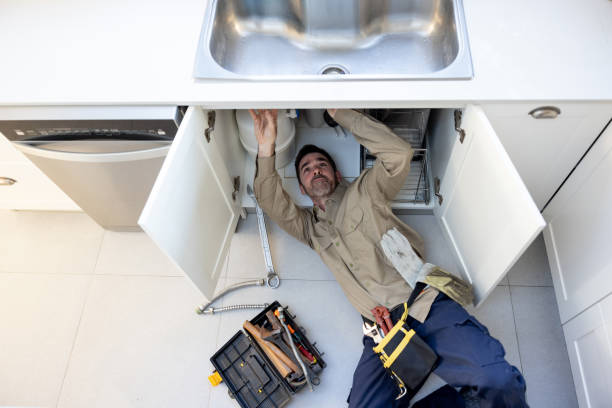 Best Affordable Plumbing Services  in Taylor, MI